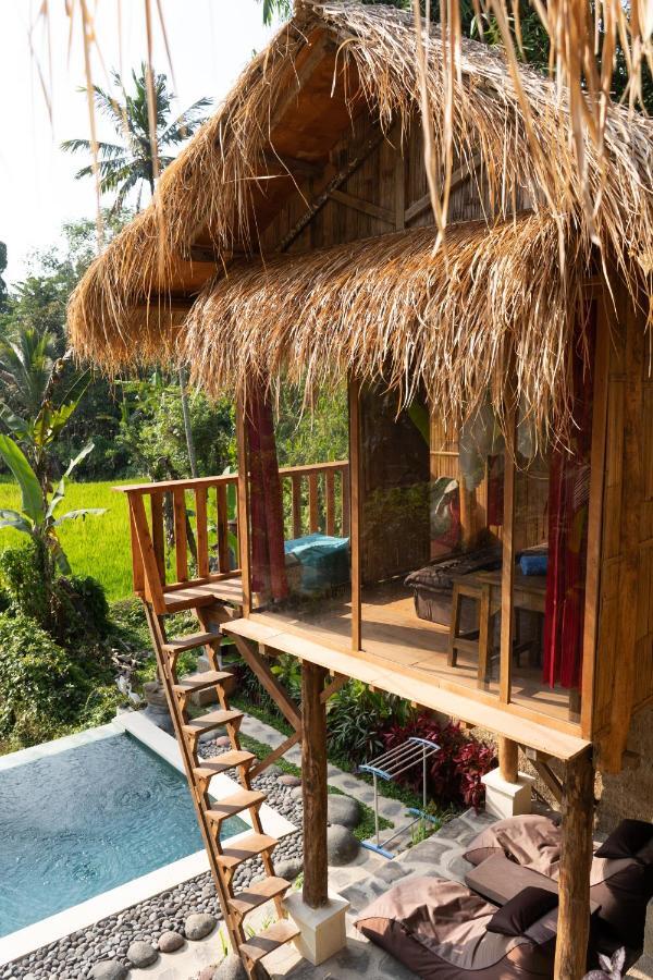 Bali Bamboo Jungle Huts And Hostel Tampaksiring Extérieur photo