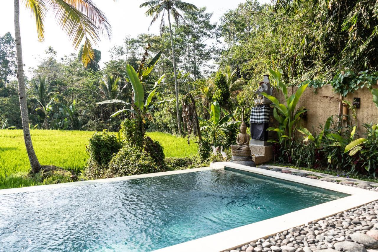 Bali Bamboo Jungle Huts And Hostel Tampaksiring Extérieur photo