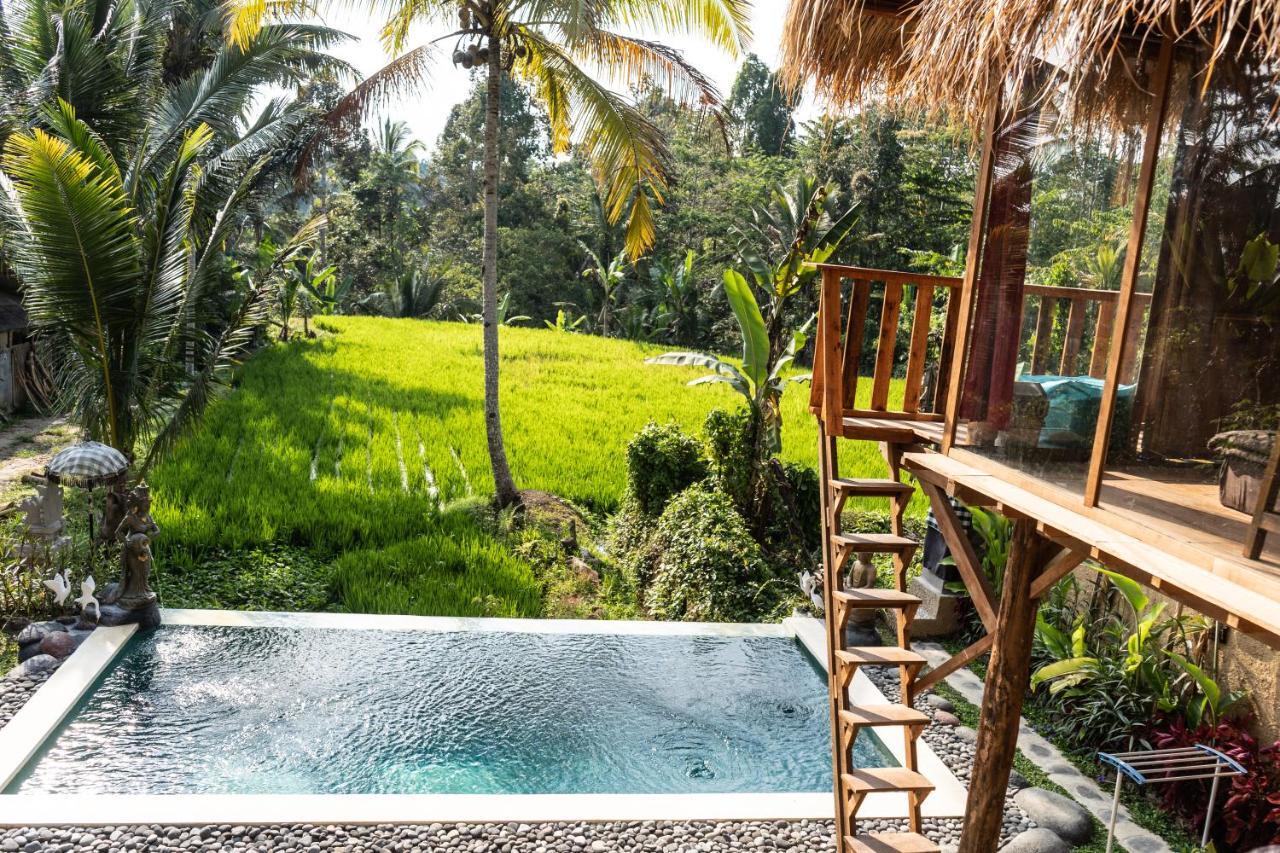 Bali Bamboo Jungle Huts And Hostel Tampaksiring Extérieur photo