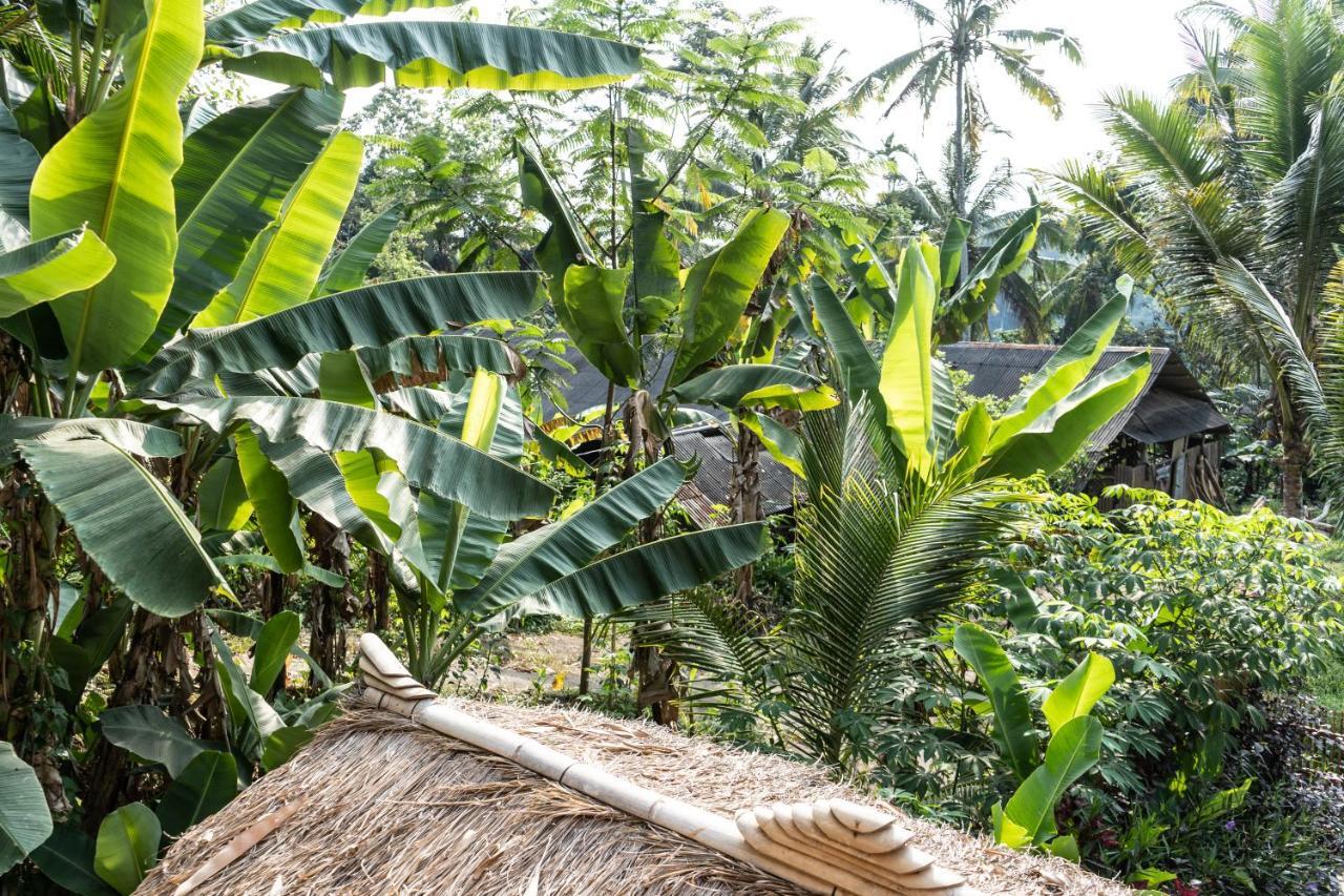 Bali Bamboo Jungle Huts And Hostel Tampaksiring Extérieur photo