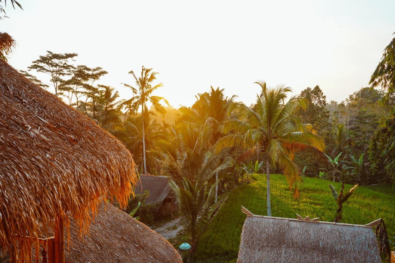 Bali Bamboo Jungle Huts And Hostel Tampaksiring Extérieur photo