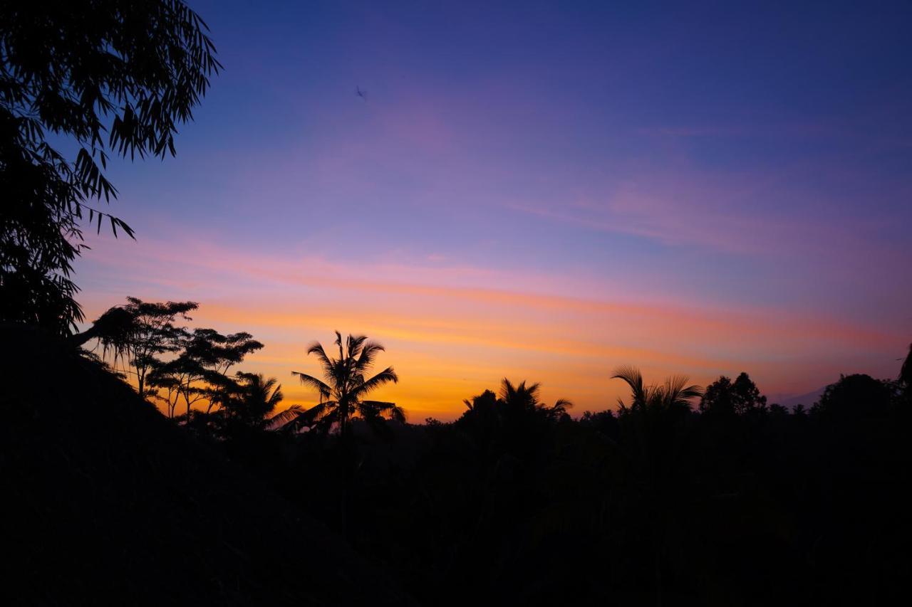 Bali Bamboo Jungle Huts And Hostel Tampaksiring Extérieur photo