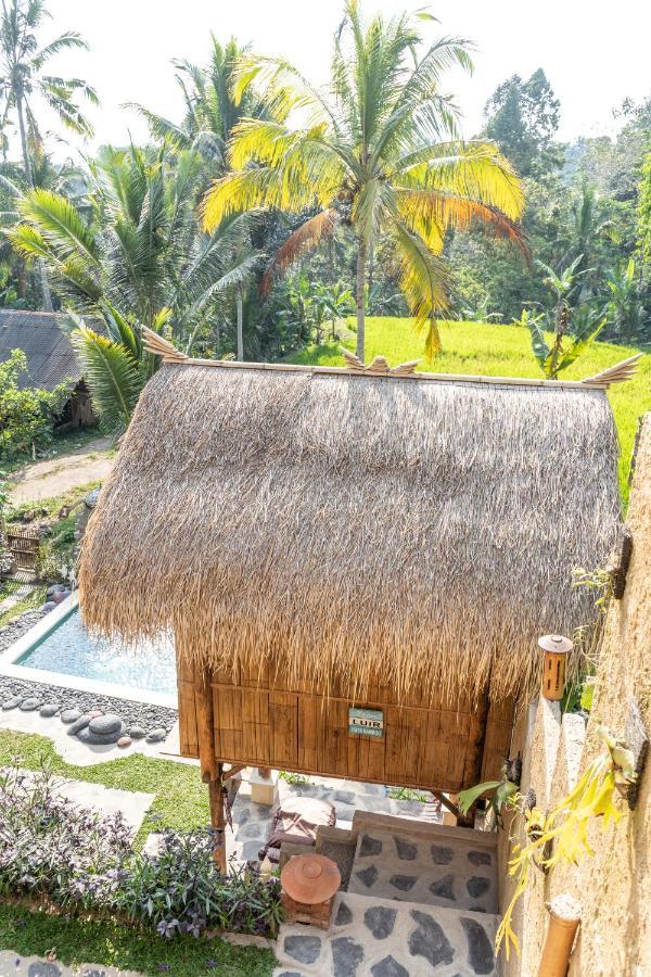 Bali Bamboo Jungle Huts And Hostel Tampaksiring Extérieur photo